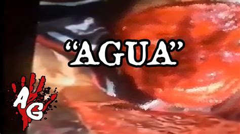 quiero agua reddit video|do you want water video.